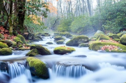 (Bild: Shutterstock)